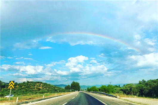 1591687127884733.jpg 27.jpg