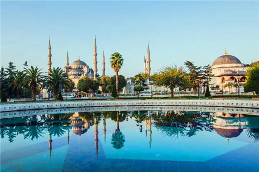 1592884438384058.jpg 6.jpg